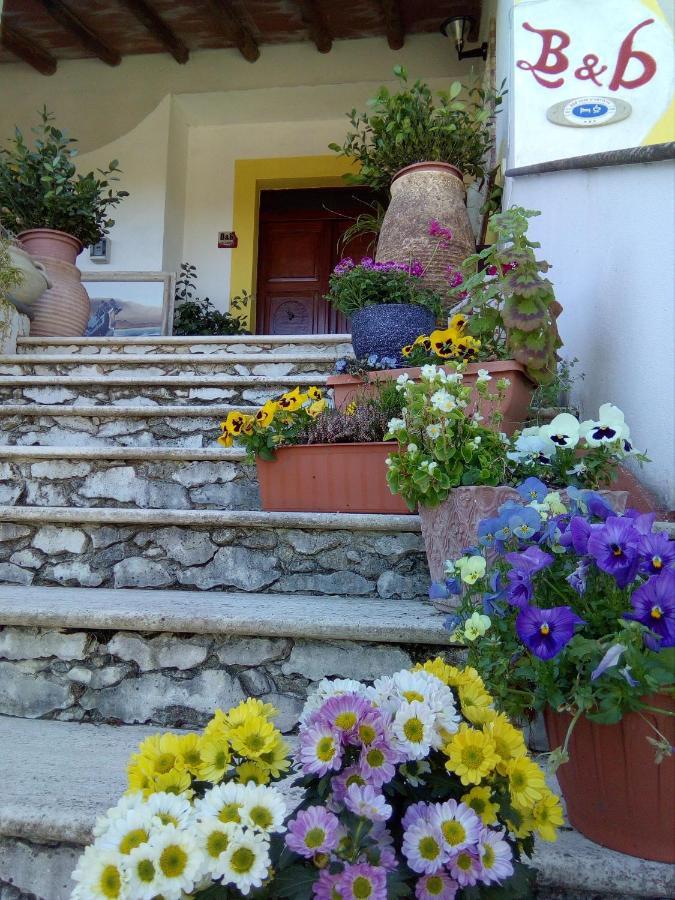 Casa D' Artista B&B Ozieri Exteriör bild