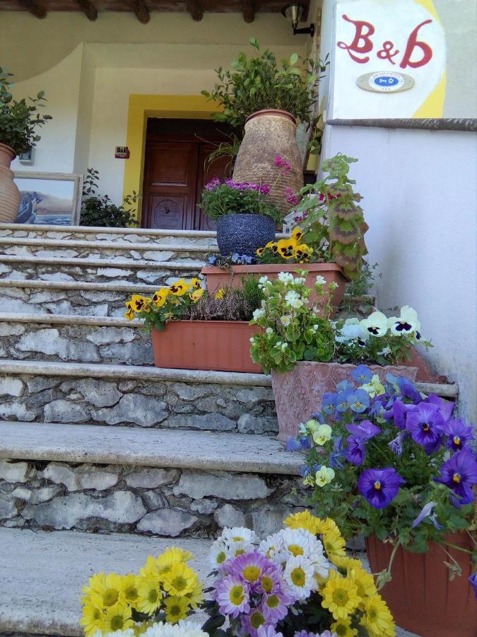 Casa D' Artista B&B Ozieri Exteriör bild