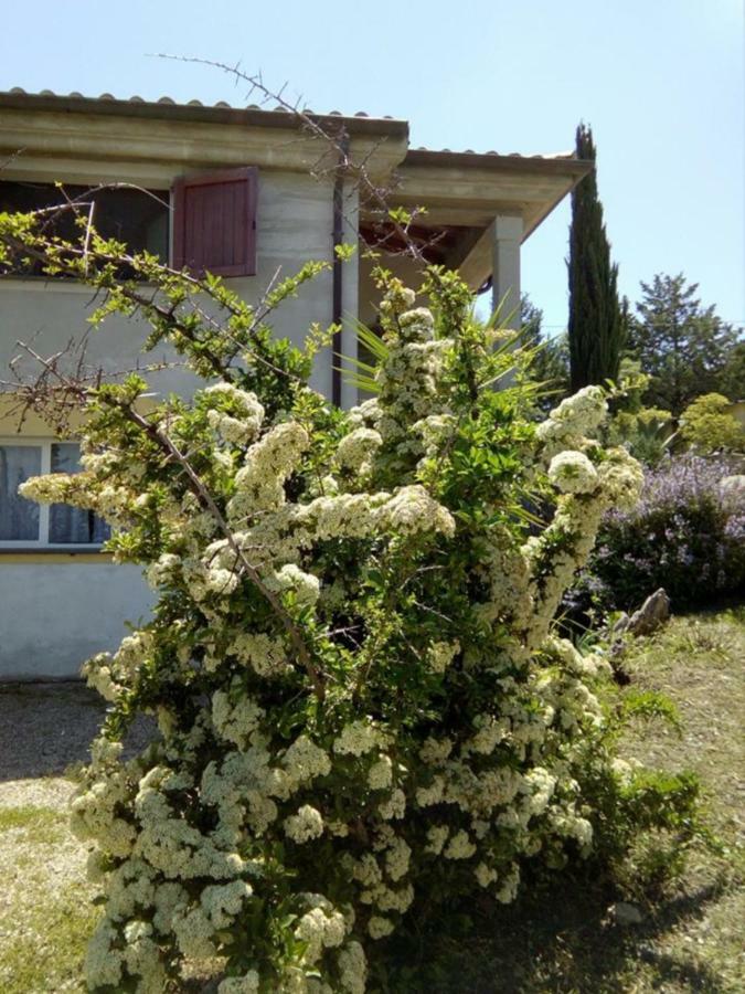 Casa D' Artista B&B Ozieri Exteriör bild