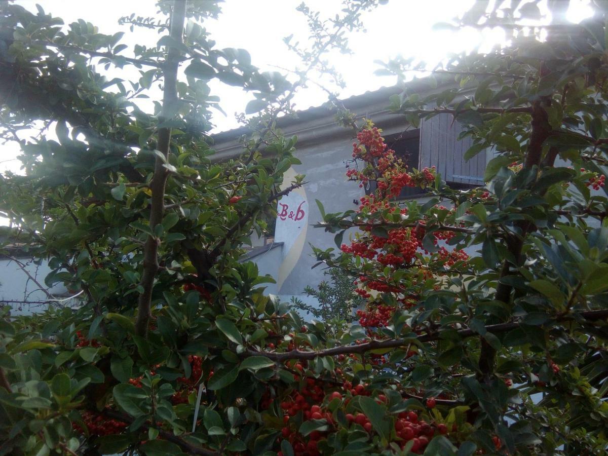 Casa D' Artista B&B Ozieri Exteriör bild