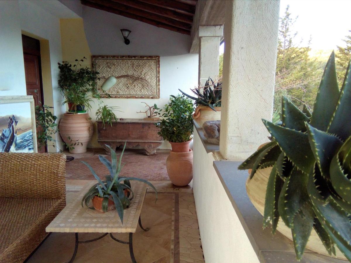 Casa D' Artista B&B Ozieri Exteriör bild